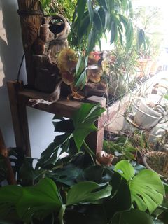 (Category: ) located in . Submitted by trust_j (Listing ID 1227988048, Image 1). Description: .