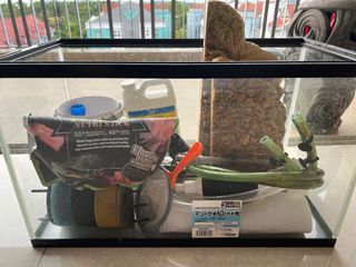 (Category: ) located in . Submitted by fuzzychaos (Listing ID 1227989906, Image 1). Description: .