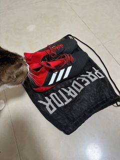 （分類：）位於 。 由 mysticturtle_c039d0 提交（商品編號 1227960645，圖片 1）。簡介： 。