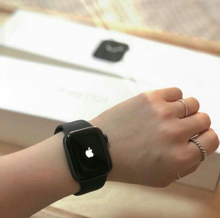 Apple Inc. visual data 5