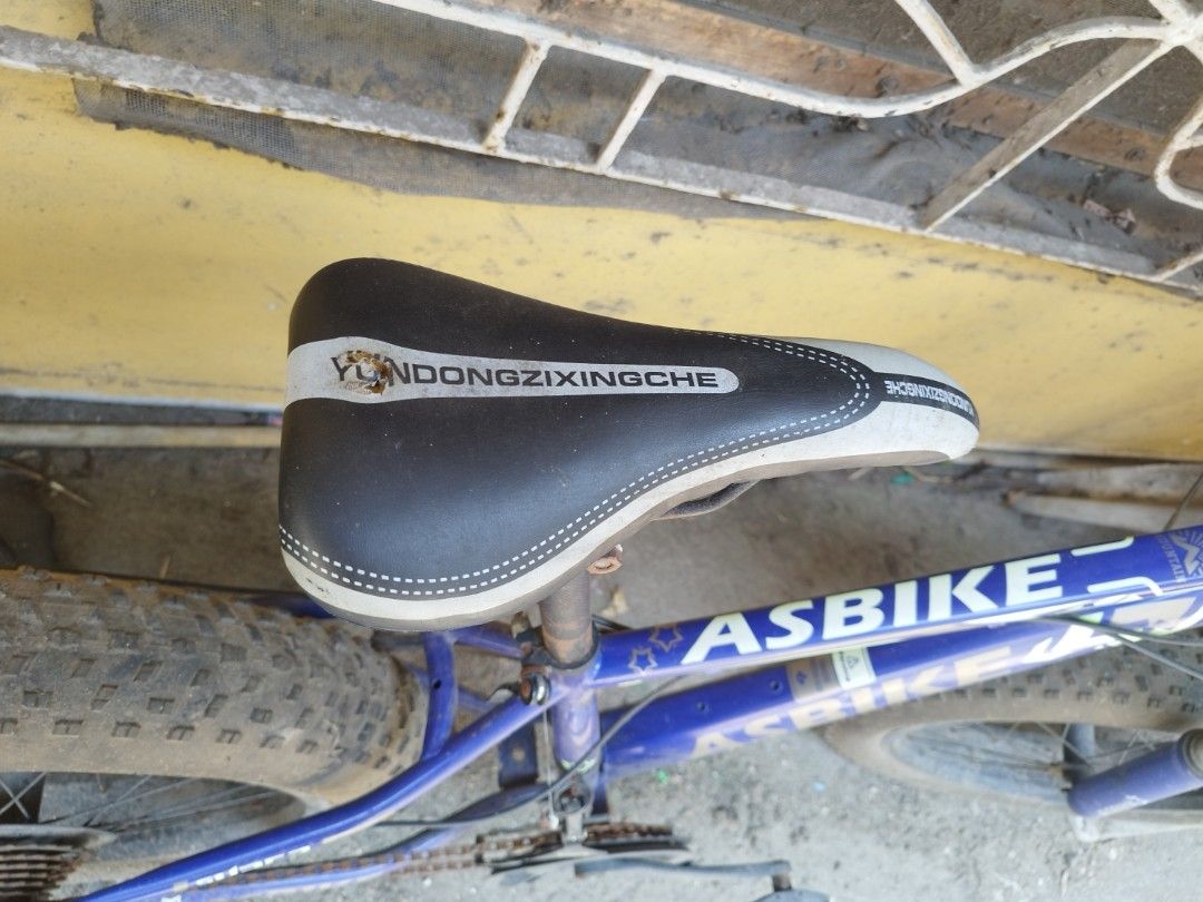 asbike fat bike