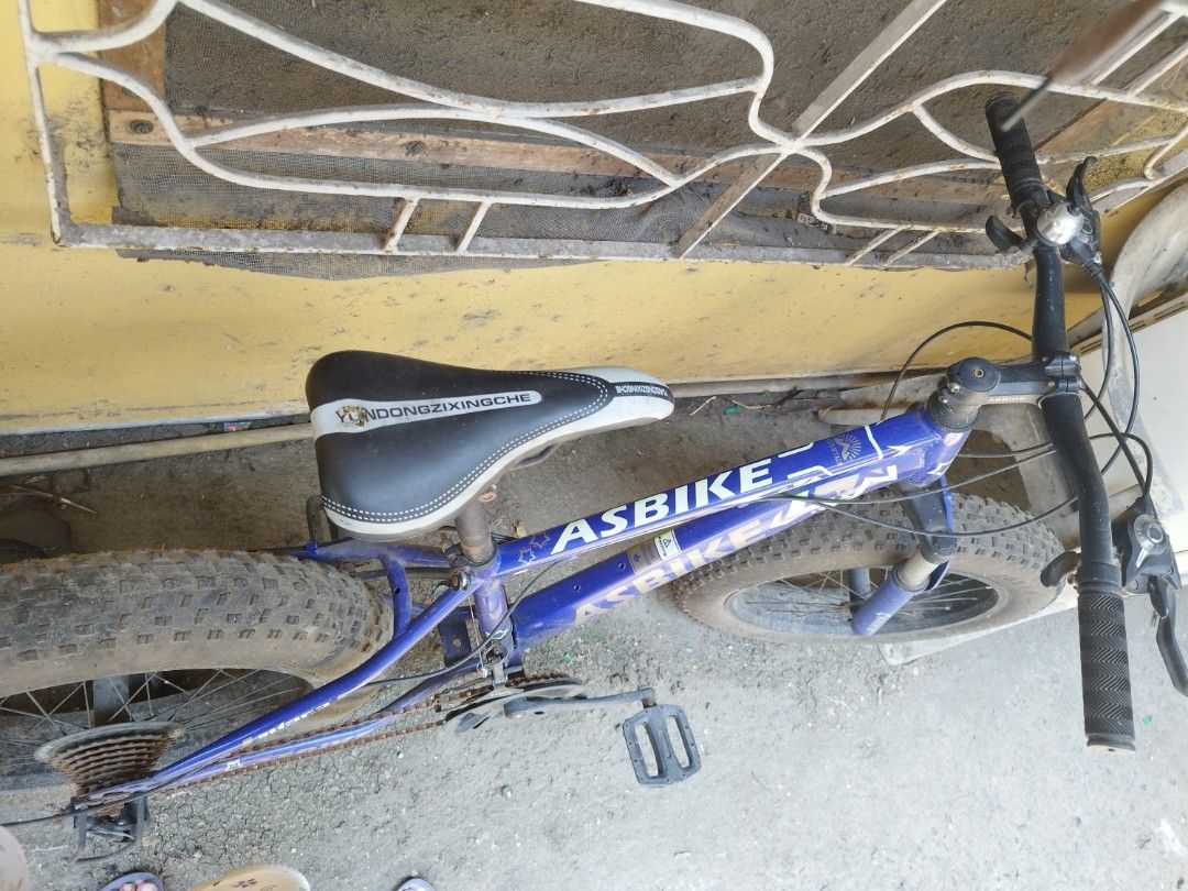 asbike fat bike