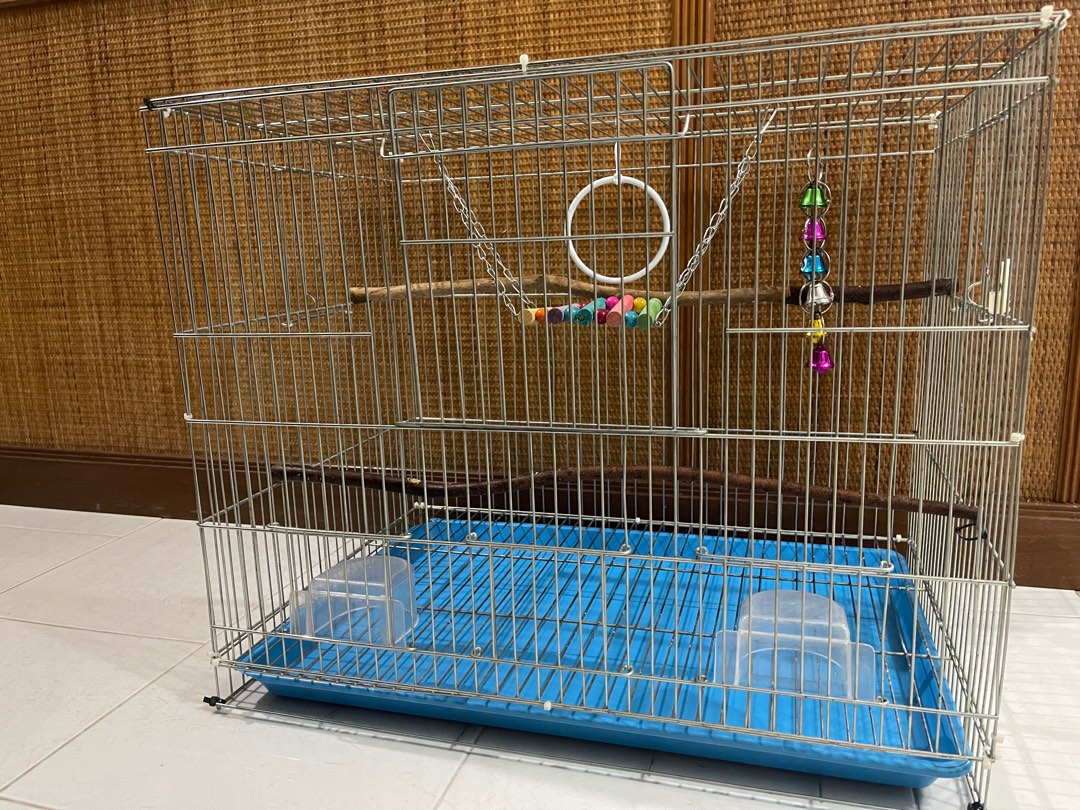 Bird cage 4 sale sales