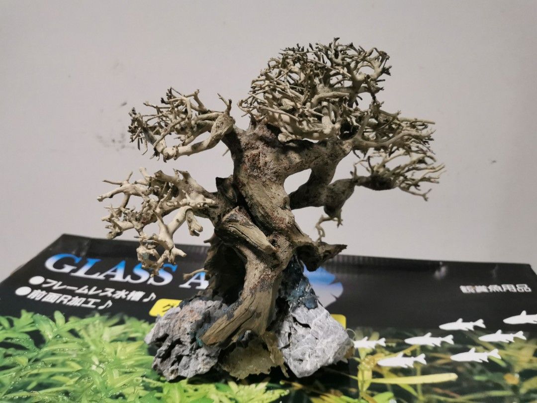 Bonsai tree for aquarium, Pet Supplies, Homes & Other Pet Accessories