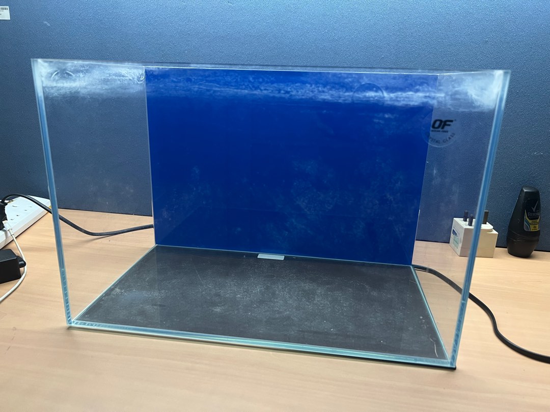 Crystal Glass Fish tank, Pet Supplies, Homes & Other Pet Accessories on Carousell