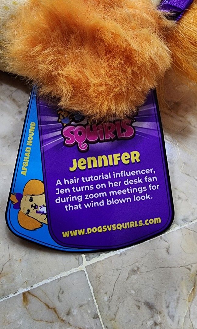 DOGS vs SQUIRLS CATS vs PICKLES, Hobbies & Toys, Toys & Games on