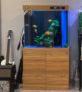 (Category: ) located in . Submitted by garyleesk (Listing ID 1227988682, Image 1). Description: .