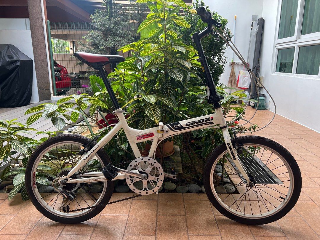 GINORI Folding Bike