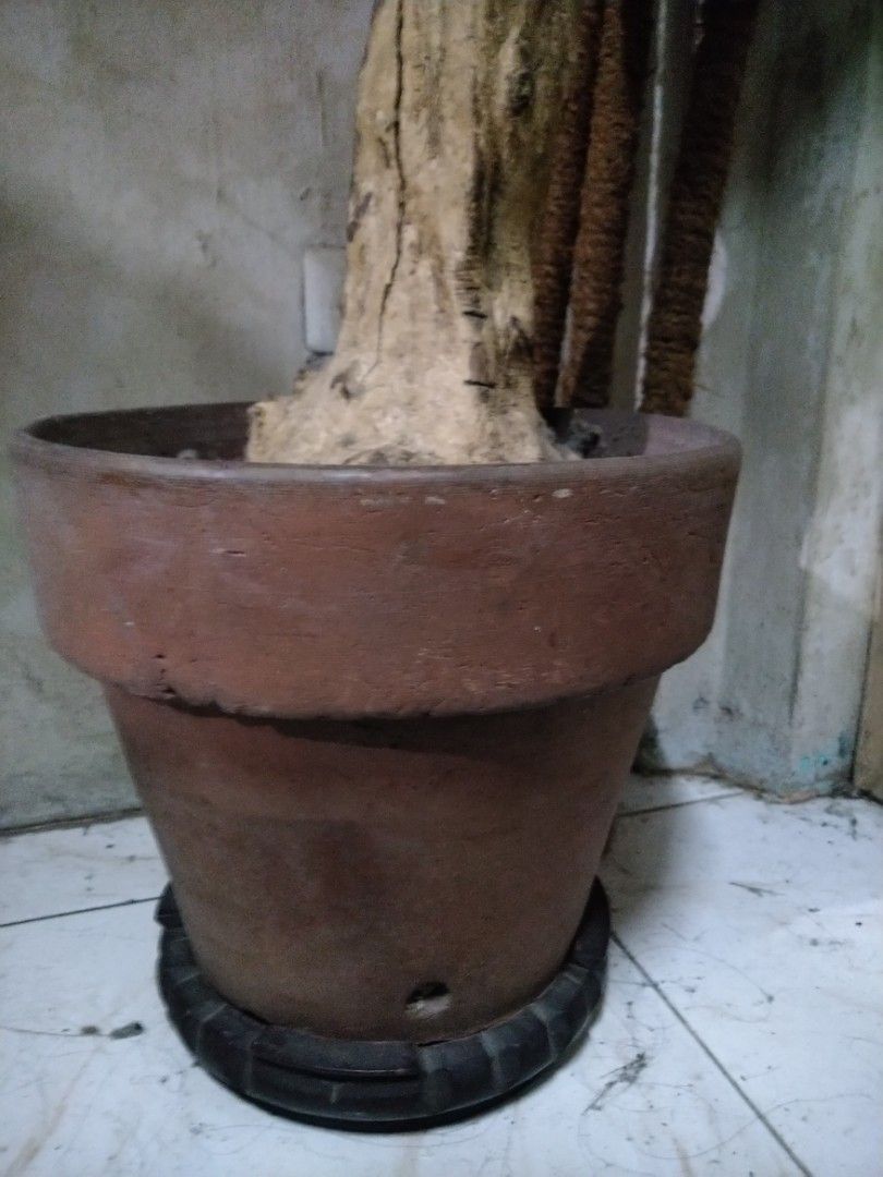 Indoor Artificial Tree / Plant Philippine Made, Furniture & Home