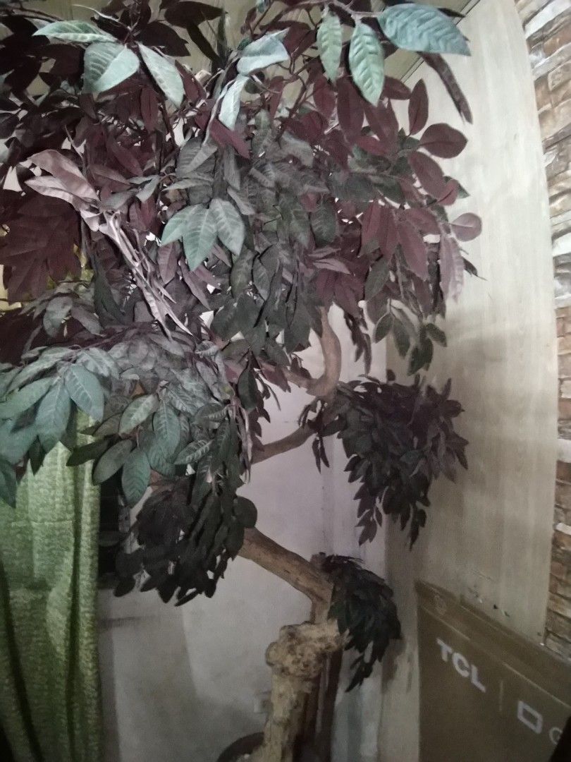 Indoor Artificial Tree / Plant Philippine Made, Furniture & Home