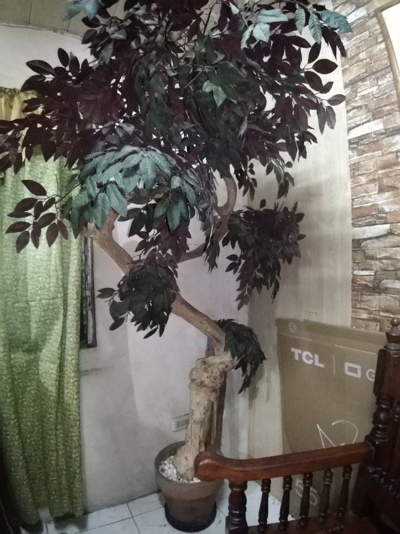 Indoor Artificial Tree / Plant Philippine Made, Furniture & Home