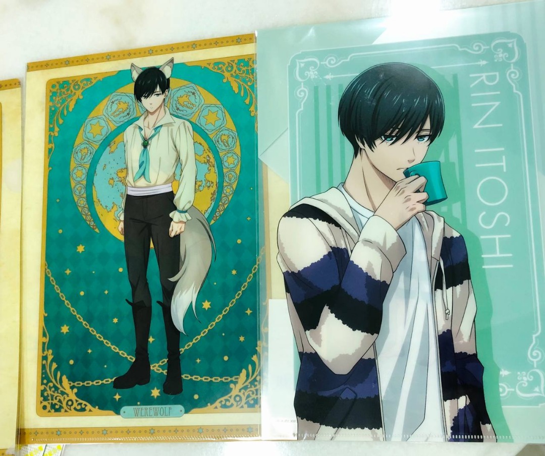 instocks | bluelock itoshi rin clear file, Hobbies & Toys, Memorabilia ...