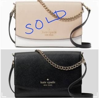 Kate Spade Carson Convertible Crossbody in Crystal Blue, Luxury, Bags &  Wallets on Carousell