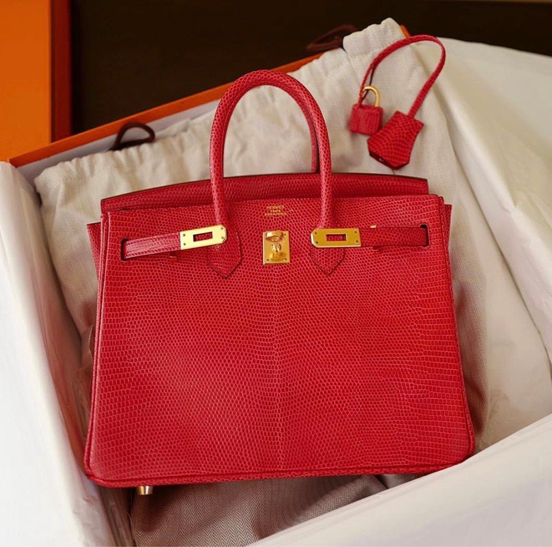 hermes birkin 25 lizard skin, Luxury, Bags & Wallets on Carousell