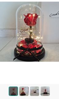 (Category: ) located in . Submitted by happybeans_sg (Listing ID 1228009062, Image 1). Description: .