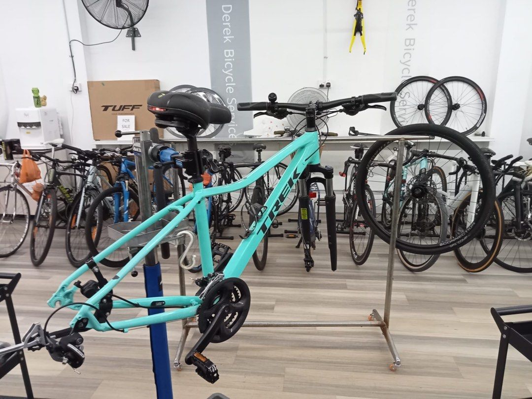 trek dual sport 2 women's miami green