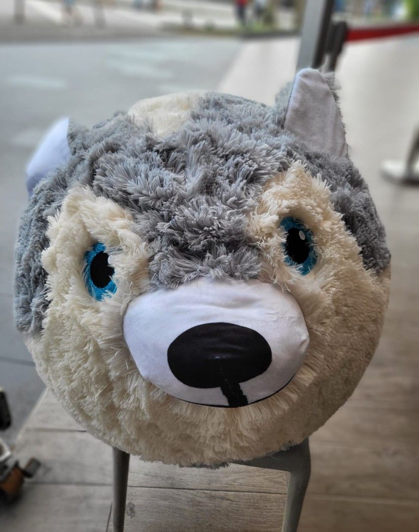 Wolf plushie, Hobbies & Toys, Toys & Games on Carousell