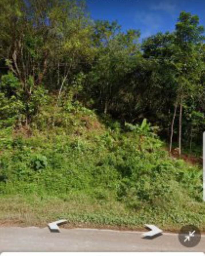 10 HAS LOT for SALE in Tanay Rizal, Property, For Sale, Lot on Carousell