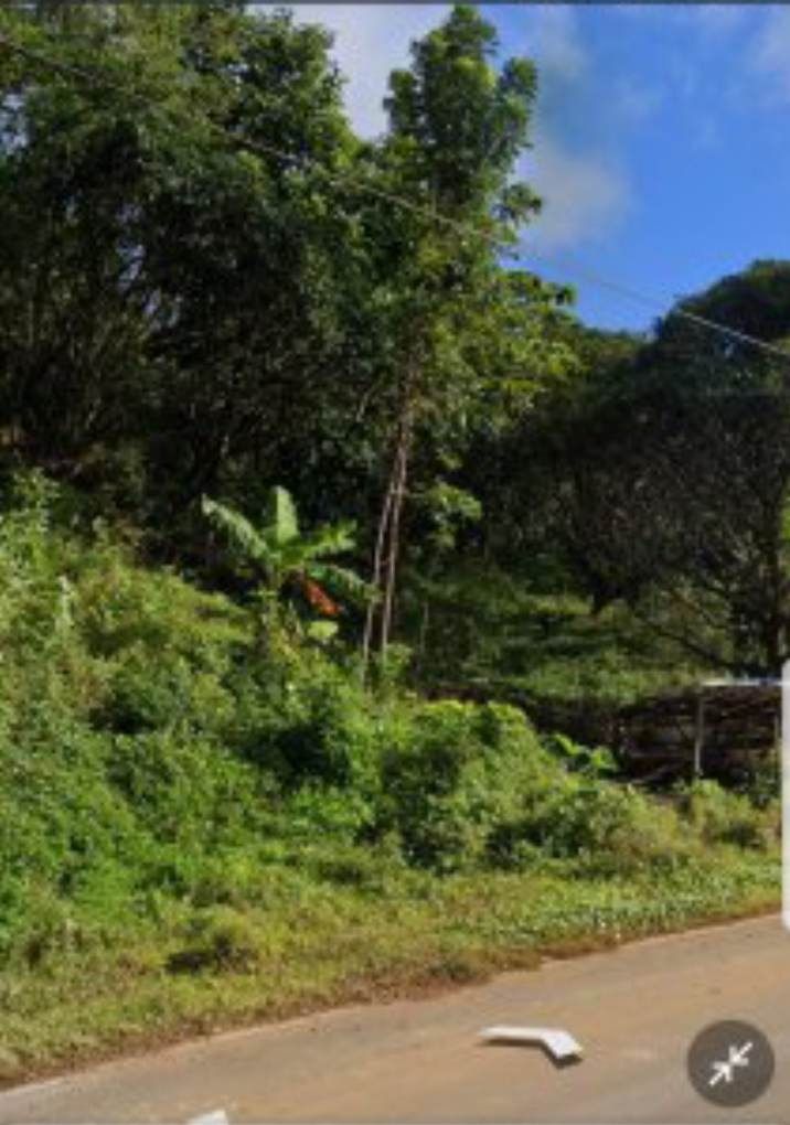 10 HAS LOT for SALE in Tanay Rizal, Property, For Sale, Lot on Carousell