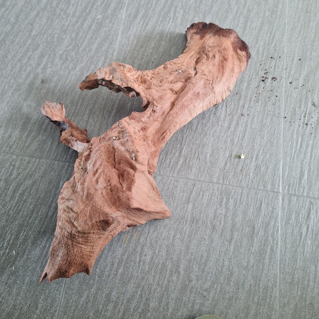 Aquarium Drift Wood, Pet Supplies, Homes & Other Pet Accessories on