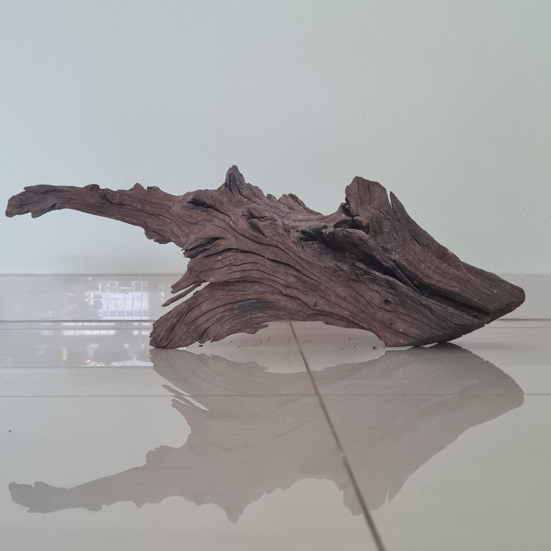 Aquarium Drift Wood, Pet Supplies, Homes & Other Pet Accessories on