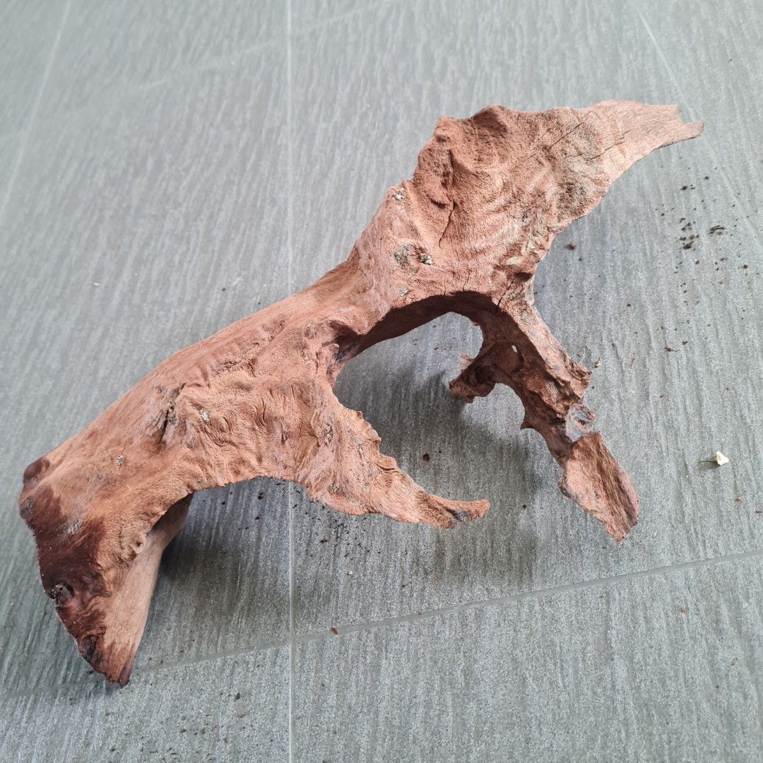 Aquarium Drift Wood, Pet Supplies, Homes & Other Pet Accessories on