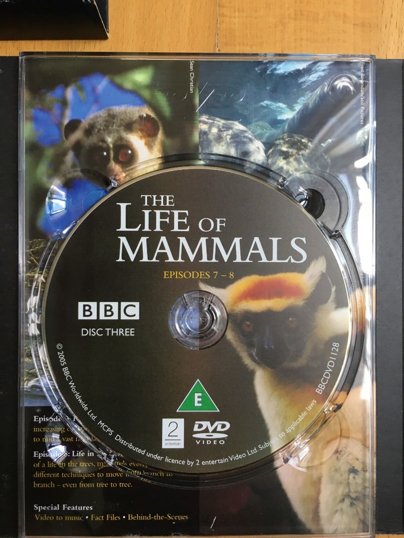 David Attenborough - Life of Mammals - 4 x DVD, Hobbies & Toys, Music