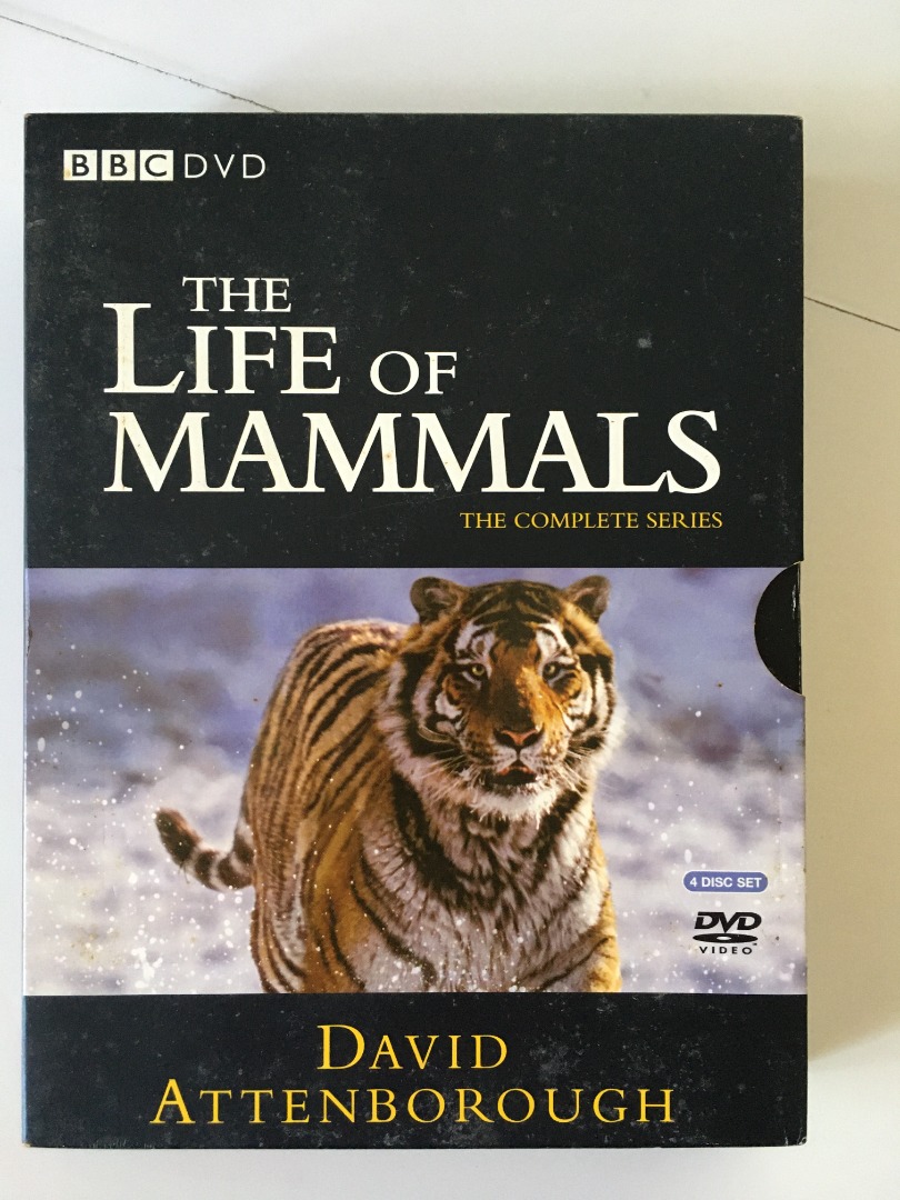 David Attenborough - Life of Mammals - 4 x DVD, Hobbies & Toys, Music