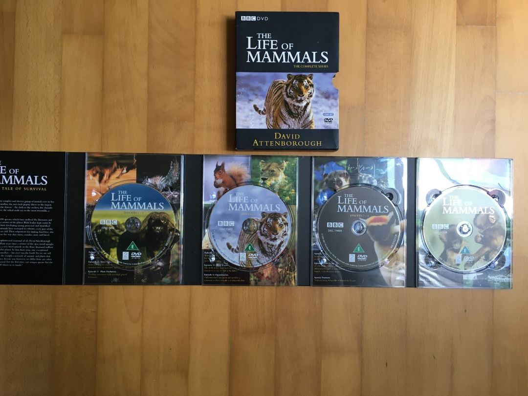 David Attenborough - Life of Mammals - 4 x DVD, Hobbies & Toys, Music