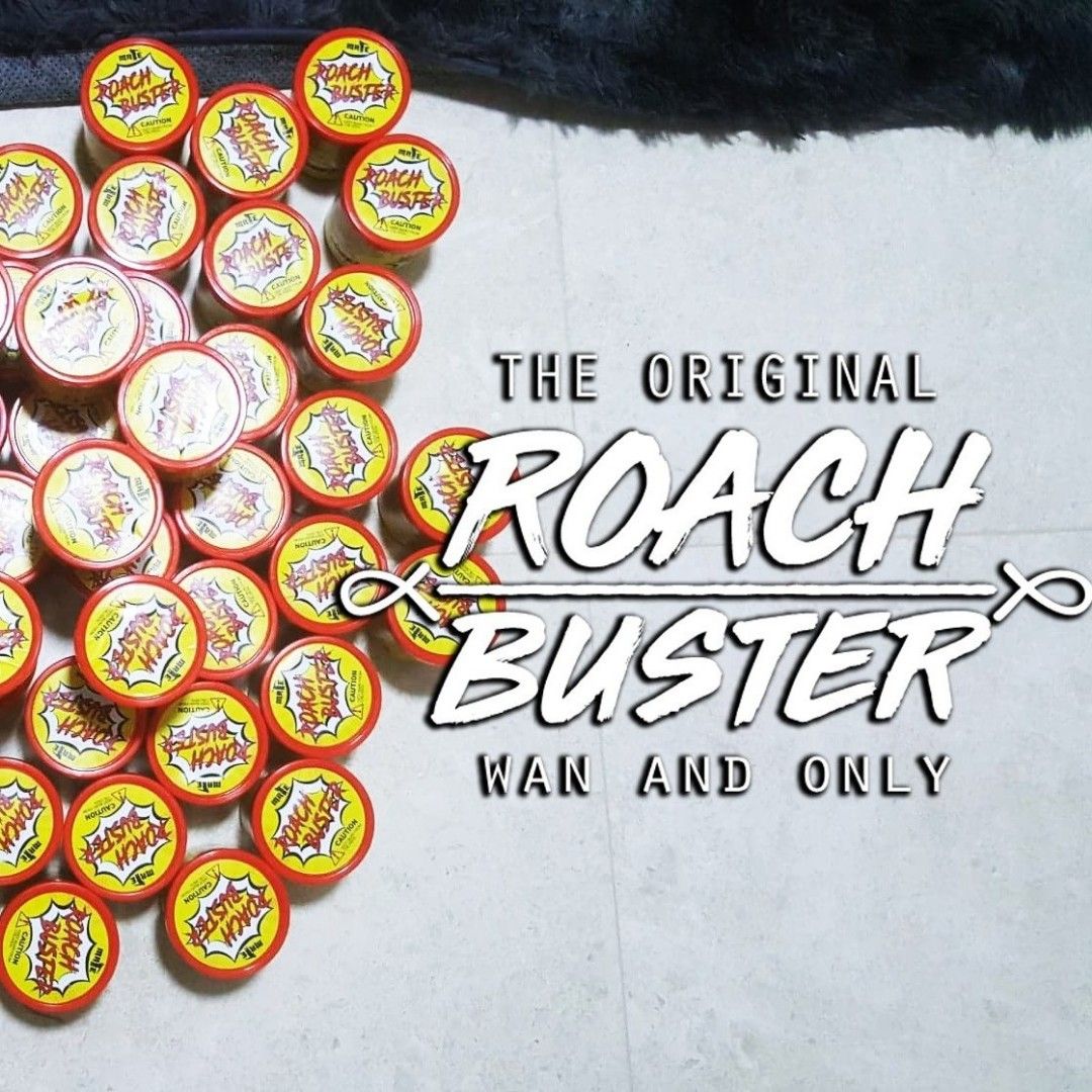 DIY ROACH FOGGER FOR VEHICLES AND ROOMS! READY STOCKS!!, Car