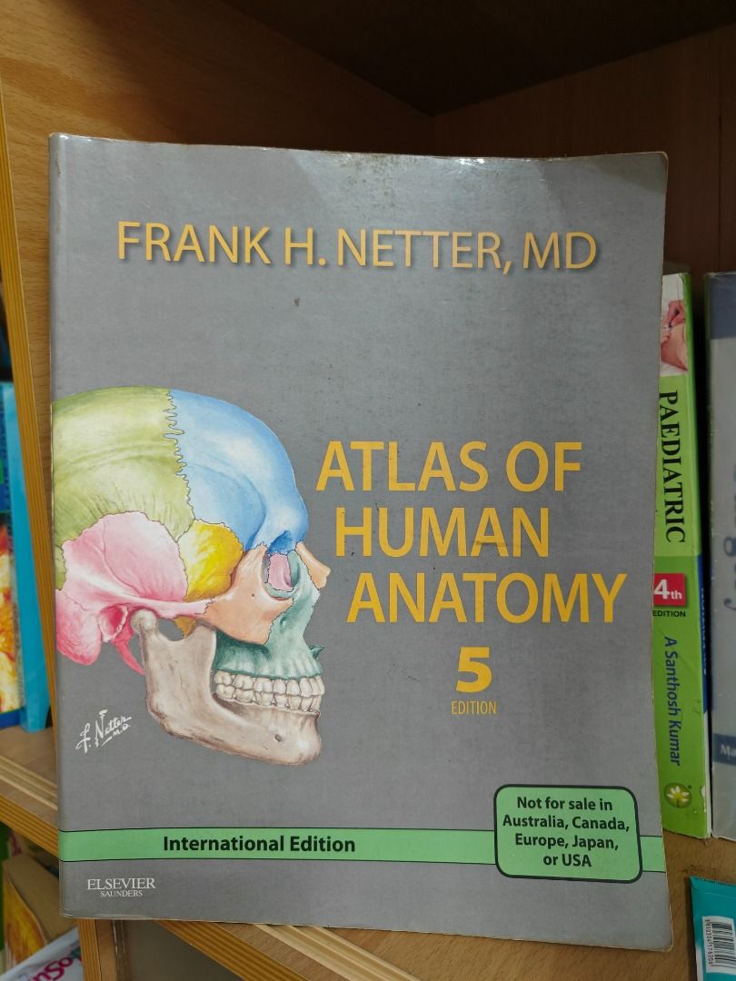Frank Netter Atlas, Hobbies & Toys, Books & Magazines, Textbooks on