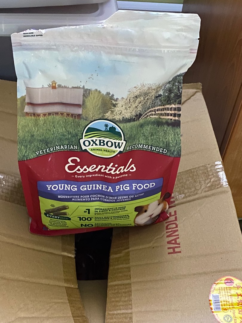 Guinea pig pallet (young Guinea pig), Pet Supplies, Pet Food on Carousell