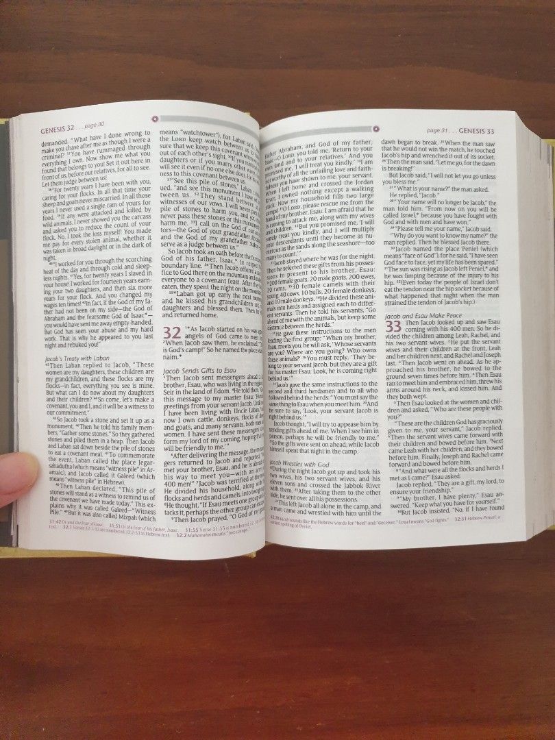 New Living Translation Bible, Hobbies & Toys, Books & Magazines, Religion Books on Carousell