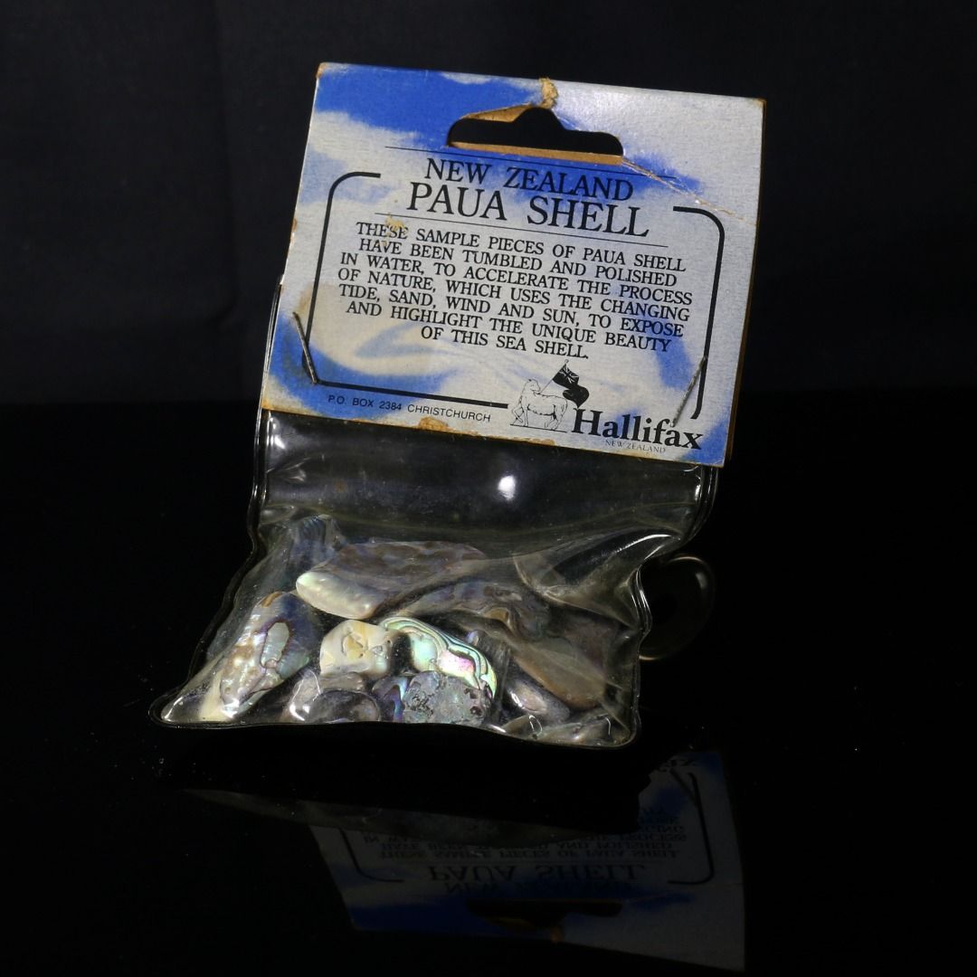 New Zealand Paua Shell Loose Form Packet Various Sizes About 40 Over ...