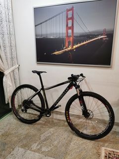 Pinarello rokh xc 9.9 carbon xx1 29er Sports Equipment Bicycles