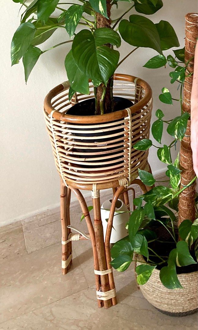 Rattan cane plant stand, Furniture & Home Living, Gardening, Pots