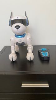 Remote control dog