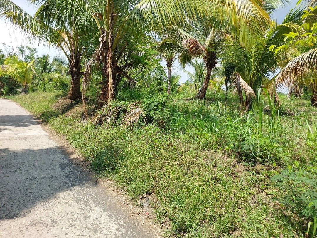 Rush sale! 1,740 sqm Farm lot at Calaca, Batangas near Tagaytay, Canyon