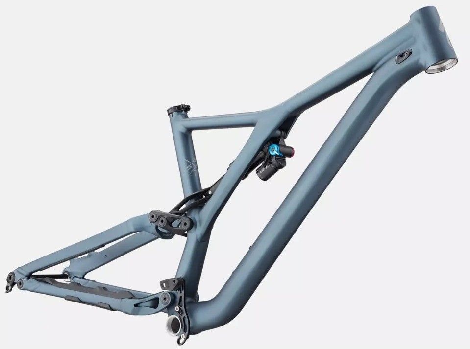 2020 stumpjumper hot sale evo