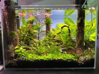 （分類：）位於 。 由 supertank10 提交（商品編號 1223850886，圖片 1）。簡介： 。