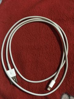 Apple Lightning to USB Cable