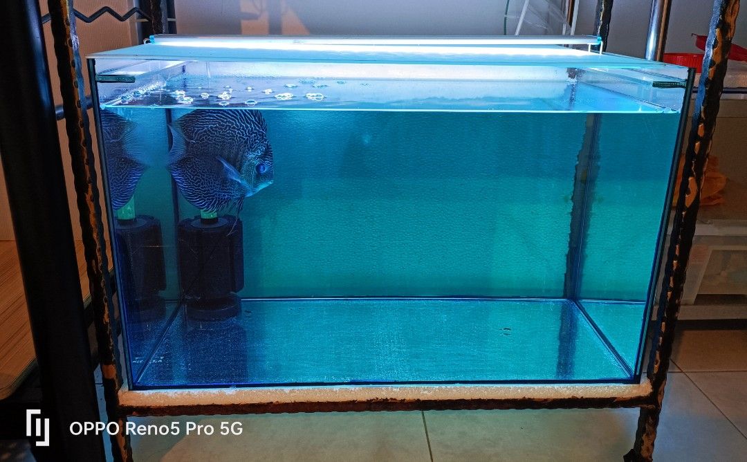 Aquarium tanks with Stands, Pet Supplies, Homes & Other Pet Accessories
