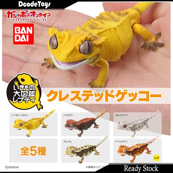 Crested gecko toy online