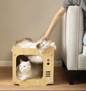 (Category: ) located in . Submitted by 4season_cats (Listing ID 1228291546, Image 1). Description: .