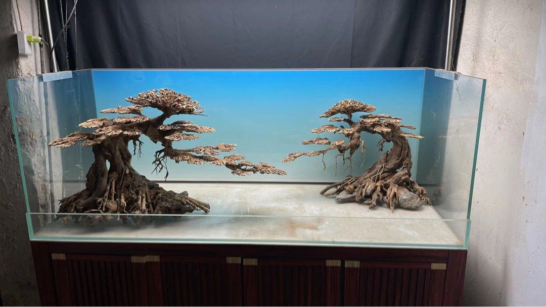 Customise bonsai style aquarium scape terrariums scape, Pet Supplies
