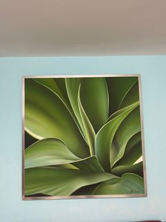 (Category: ) located in . Submitted by eileenst (Listing ID 1228345254, Image 1). Description: .
