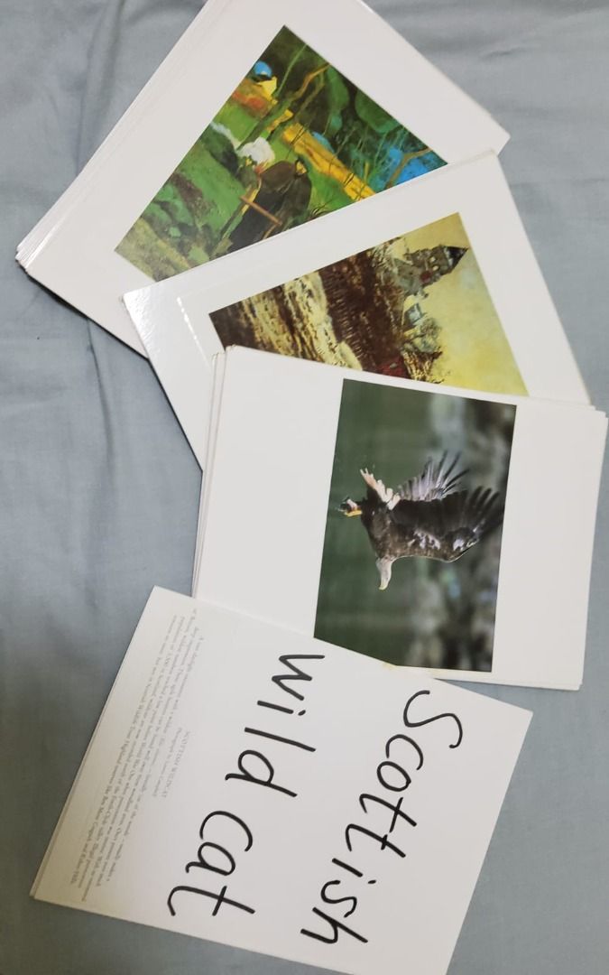 HUGE Collection of KUMON & SHICHIDA Japanese Flash Cards, Hobbies