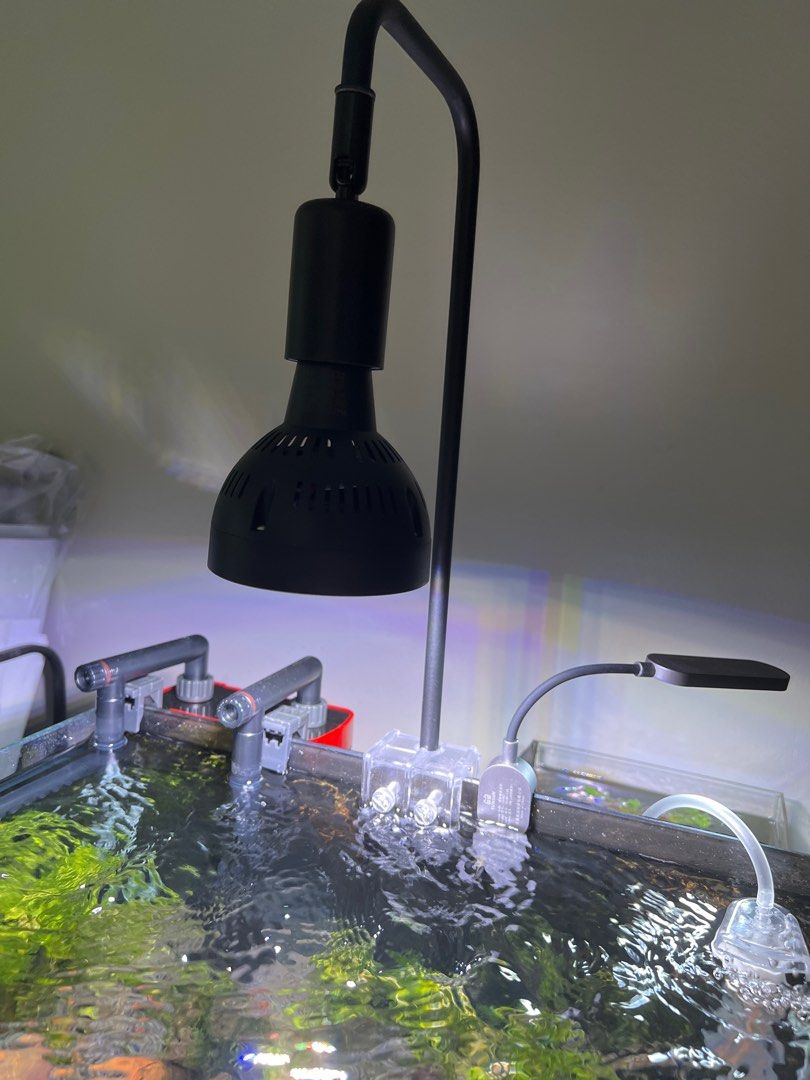 LED WRGB Aquarium Light Aquatic Plant, Pet Supplies, Homes & Other Pet