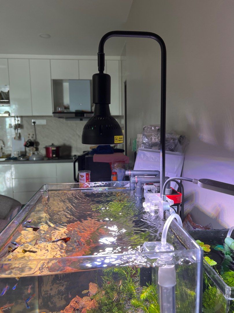 LED WRGB Aquarium Light Aquatic Plant, Pet Supplies, Homes & Other Pet