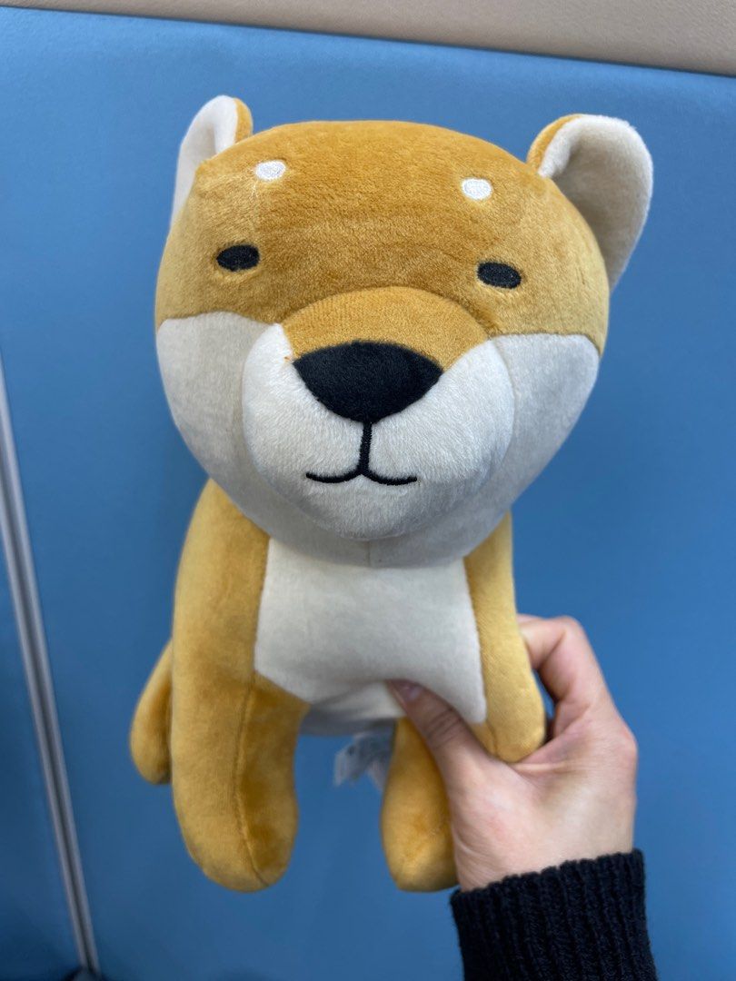 Shiba miniso on sale